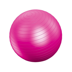 Vivamax gimnasztikai labda 55cm (pink)